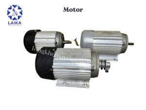 Motor