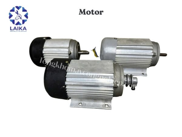 Motor
